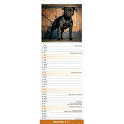 Calendrier Slim papier Staffordshire Bull Terrier 2026