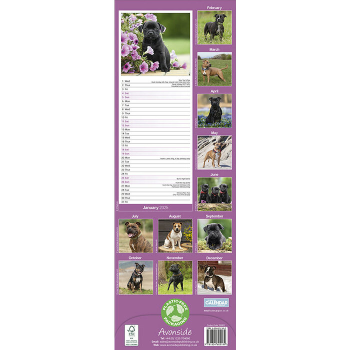 Calendrier Mural 2025 Staffie