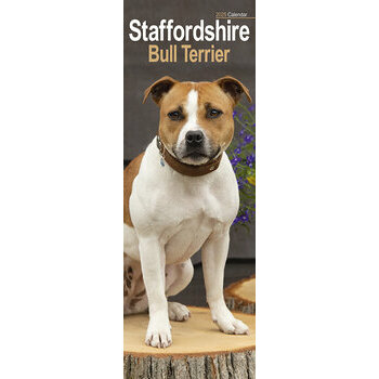 Calendrier Etroit Slim 2025 Staffordshire Bull Terrier