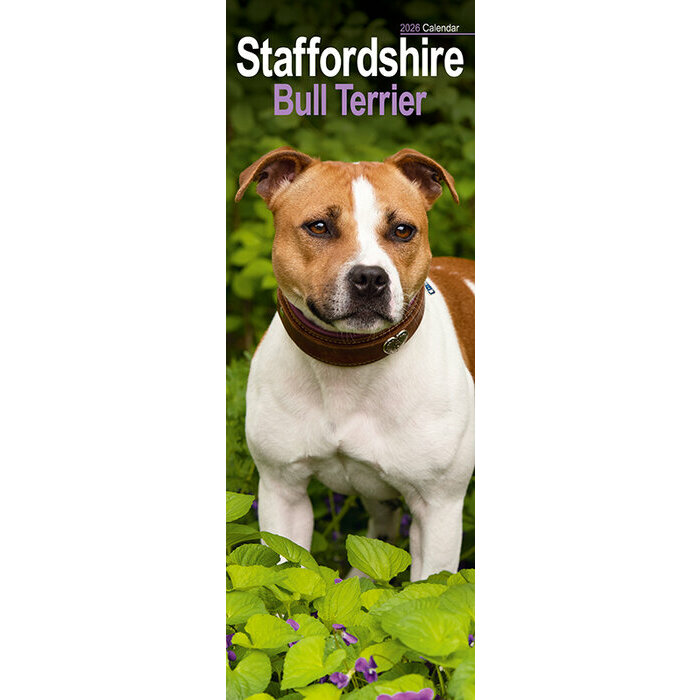 Calendrier Slim Staffordshire Bull Terrier 2026