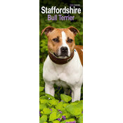 Calendrier Slim Staffordshire Bull Terrier 2025