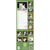 Calendrier Etroit 2025 West Highland White Terrier