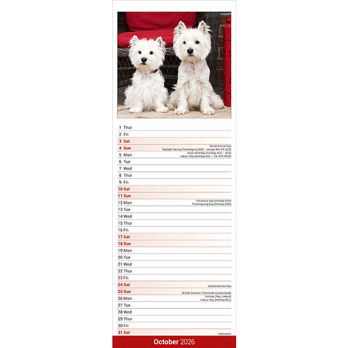 Calendrier mural Slim Westie 2026