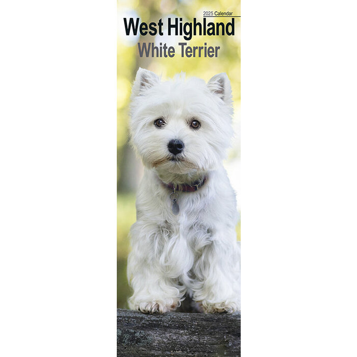 Calendrier Slim Westie 2025