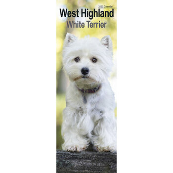 Calendrier Etroit Slim 2025 West Highland Terrier