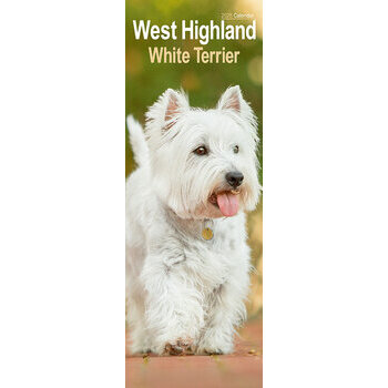 Calendrier Etroit Slim 2025 West Highland Terrier