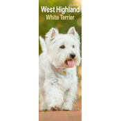 Calendrier Slim Westie 2025