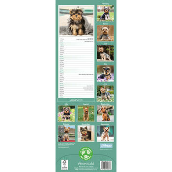 Calendrier Etroit Slim 2025 Yorkshire Terrier