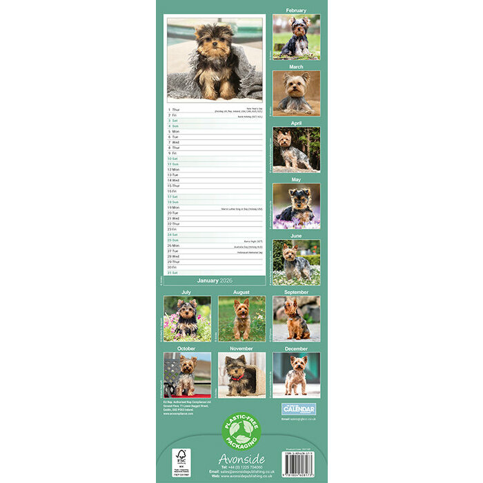 Calendrier Slim mural 2026 Yorkshire Terrier