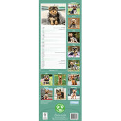 Calendrier Slim mural 2026 Yorkshire Terrier