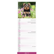 Calendrier Yorkshire Terrier 2025