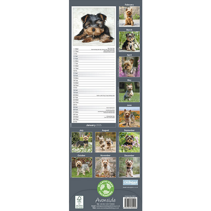 Calendrier Mural Yorkshire Terrier 2025