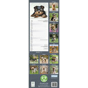 Calendrier Mural Yorkshire Terrier 2025