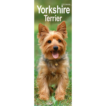 Calendrier Etroit Slim 2025 Yorkshire Terrier