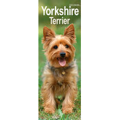 Calendrier Slim 2025 Yorkshire Terrier