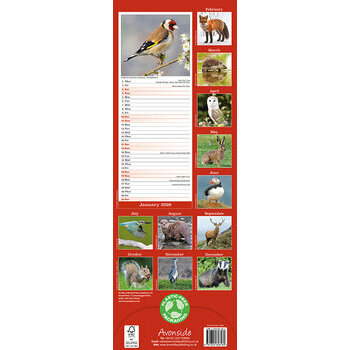 Calendrier Etroit Slim 2026 Animaux de la forêt