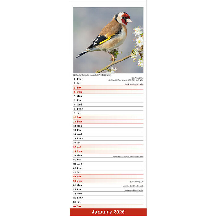 Calendrier Animaux Cerf 2026