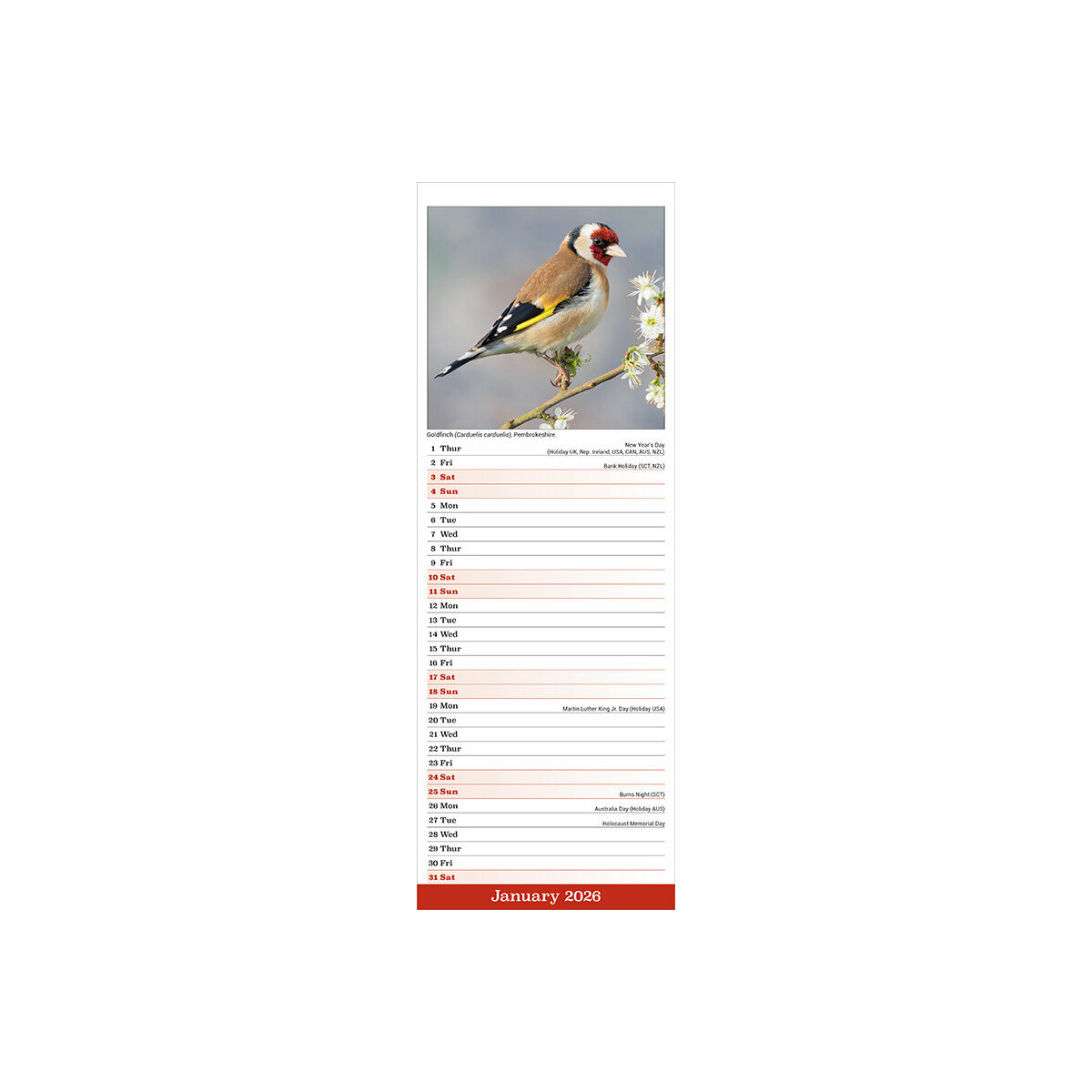 Calendrier Mural Etroit Slim 2025 Animaux de la Forêt Cerf Renard