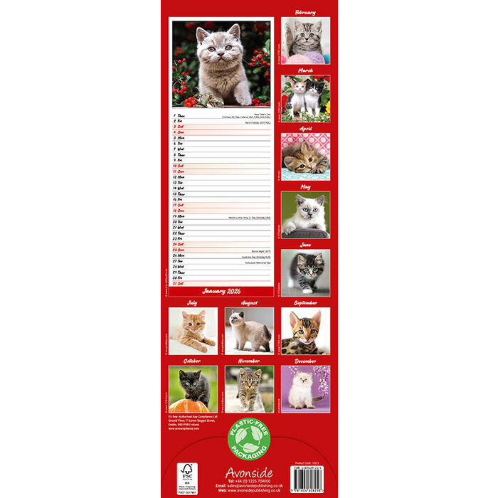 Calendrier Slim mural 2026 Chatons
