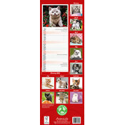 Calendrier Slim mural 2026 Chatons