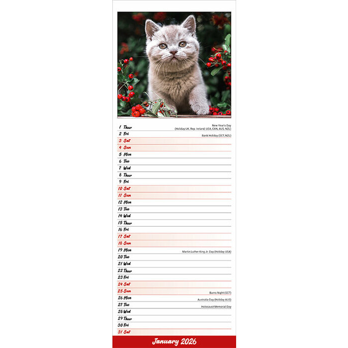 Calendrier mural 2026 Chatons