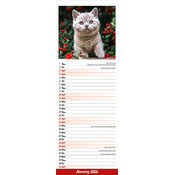 Calendrier mural 2026 Chatons