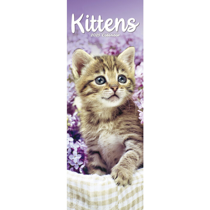Calendrier Slim 2025 Chatons