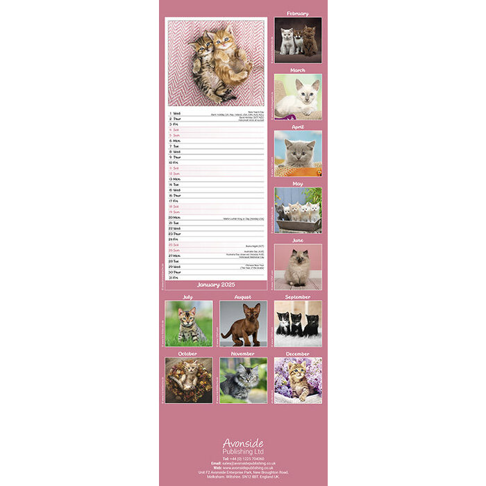 Calendrier Etroit 2025 Chatons
