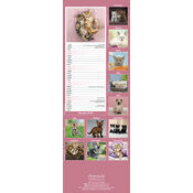 Calendrier Etroit 2025 Chatons