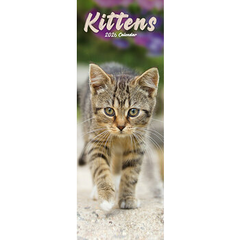 Calendrier Etroit Slim 2025 Chatons