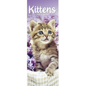 Calendrier Slim 2025 Chatons