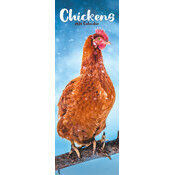 Calendrier Mural Poule Rousse 2025