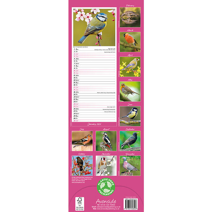 Calendrier Slim mural Oiseaux Chardonneret 2026