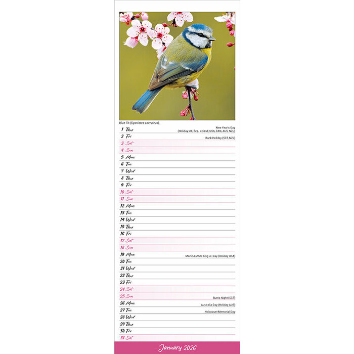 Calendrier Slim papier Oiseaux Chardonneret 2026