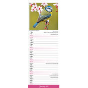 Calendrier Slim papier Oiseaux Chardonneret 2026