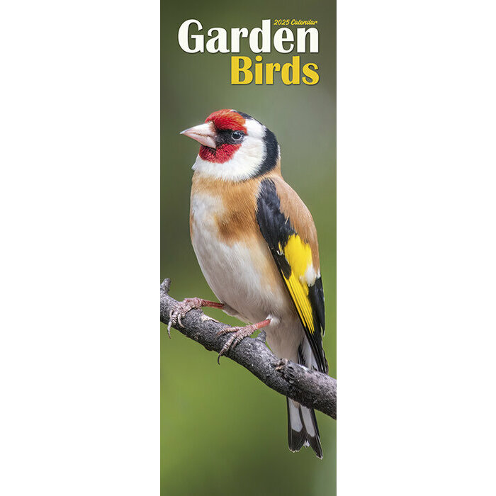 Calendrier Slim Oiseaux Chardonneret 2025