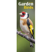 Calendrier Slim Oiseaux Chardonneret 2025