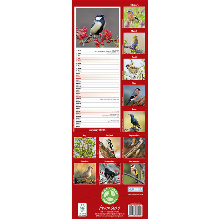 Calendrier Mural 2025 Oiseaux Msange