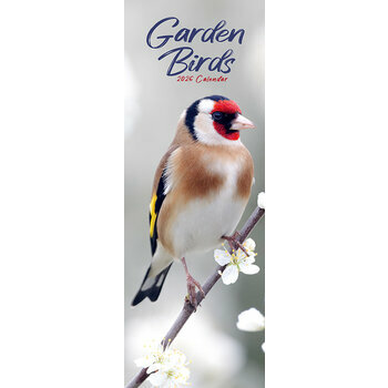 Calendrier Etroit Slim 2025 Oiseaux du Jardin