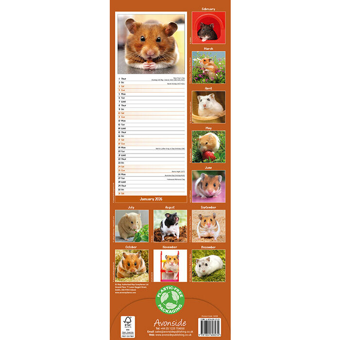 Calendrier mural 2026 Hamster