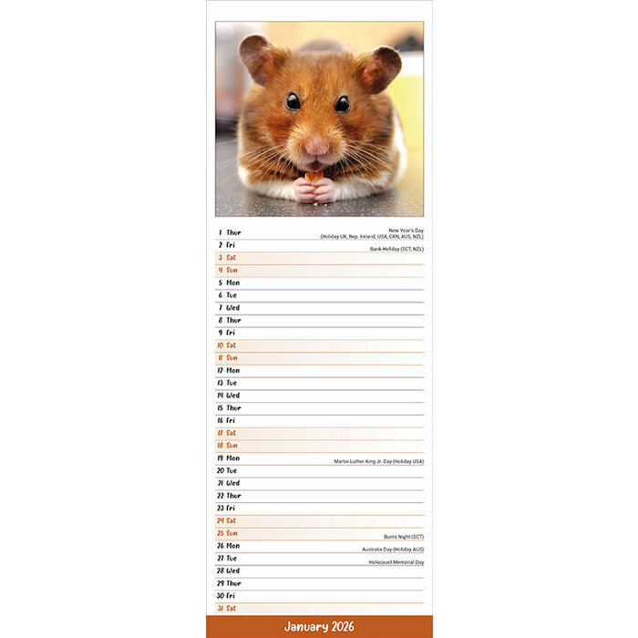 Calendrier 2026 Hamster
