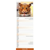 Calendrier 2025 Hamster