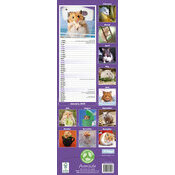 Calendrier Mural 2025 Hamsters