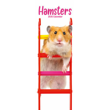 Calendrier Etroit Slim 2025 Hamster