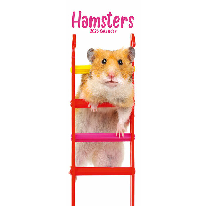 Calendrier Slim papier 2026 Hamster