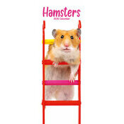 Calendrier Slim papier 2026 Hamster