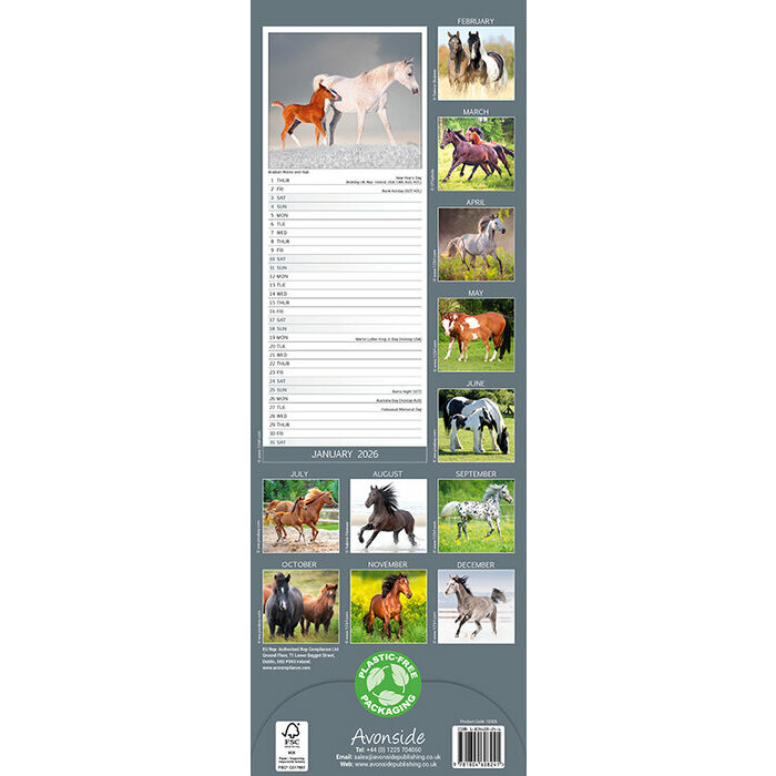 Calendrier papier 2026 Chevaux