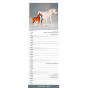 Calendrer Slim 2025 Cheval MArron