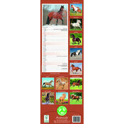 Calendrier 2025 Slim Chevaux Cheval