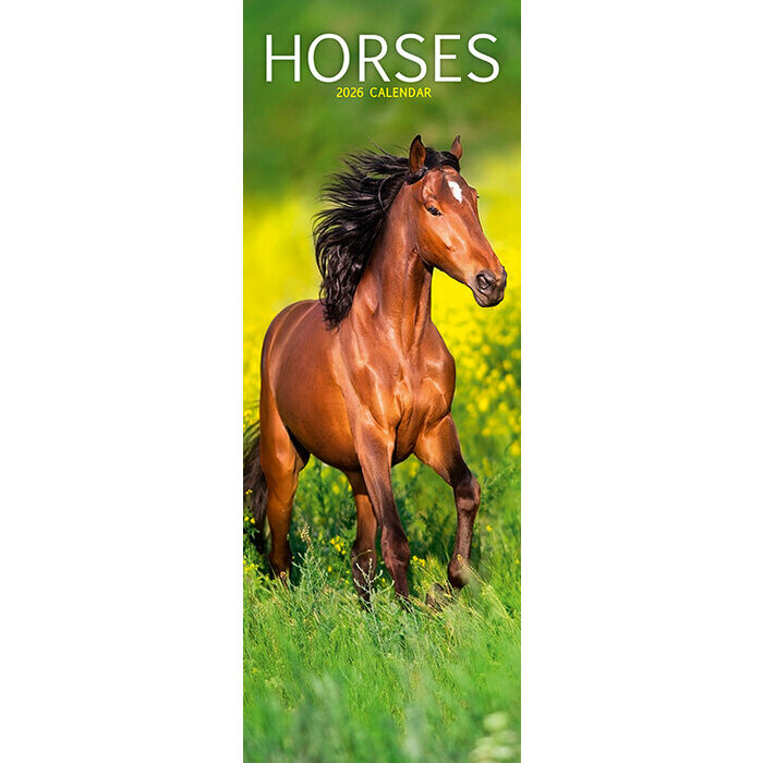 Calendrier Mural 2026 Chevaux